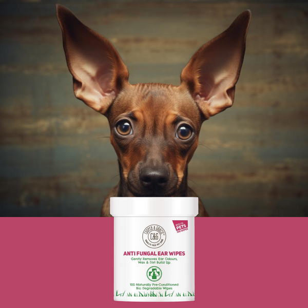 Our New Anti-Fungal Dog Ear Wipes