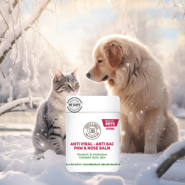 A cat and a dog together in a snowy scene with Cooper & Gracie's Paw and Nose Balm