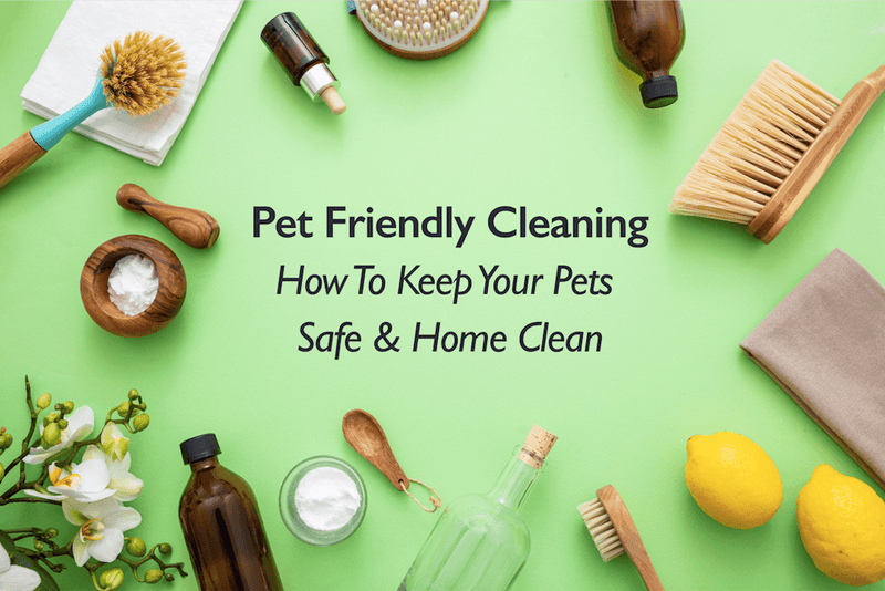 https://cooperandgracie.com/cdn/shop/articles/pet-friendly-cleaning-how-to-keep-your-pets-safe-and-your-home-clean-cooper-and-gracietm-limited_800x.png?v=1685565411