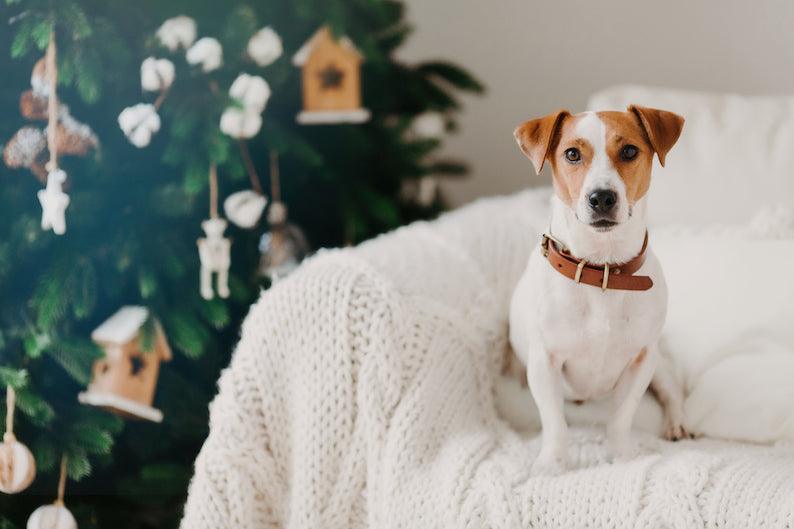Top Tips to Get Your Home Ready for Christmas - Cooper & Gracie™ Limited 