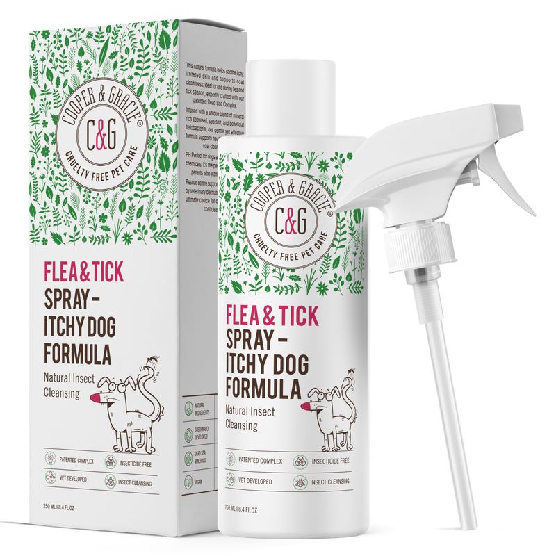 Dead Sea Itchy Dog Flea & Tick Shampoo – 300ml | Insecticide-Free, Vet-Developed Relief US