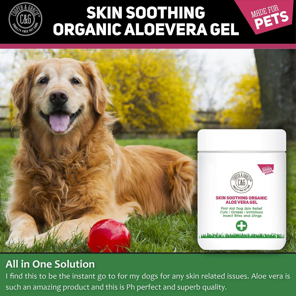 Aloe Vera for Dogs Pet Safe Gel Cooper and Gracie