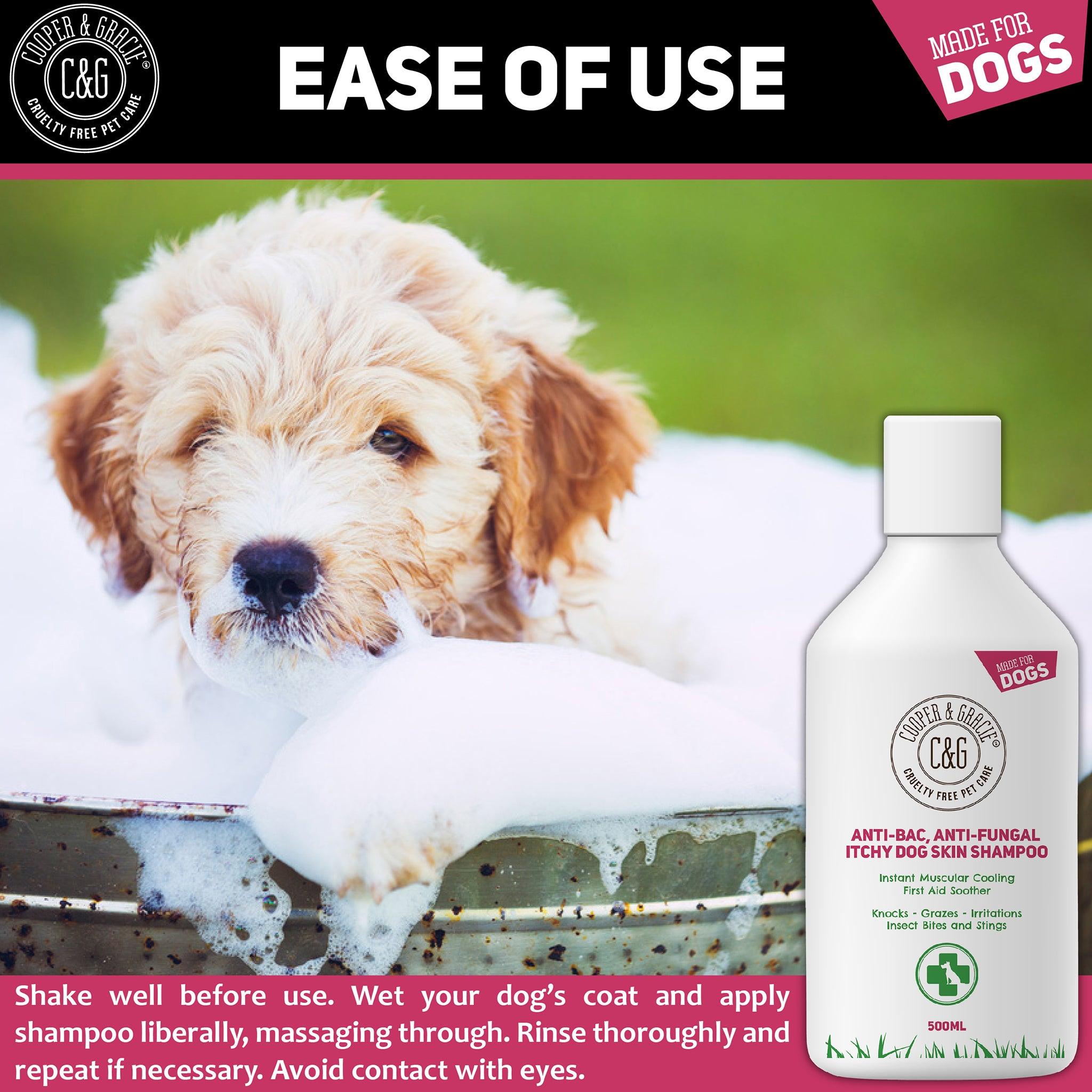 Best anti yeast top shampoo for dogs