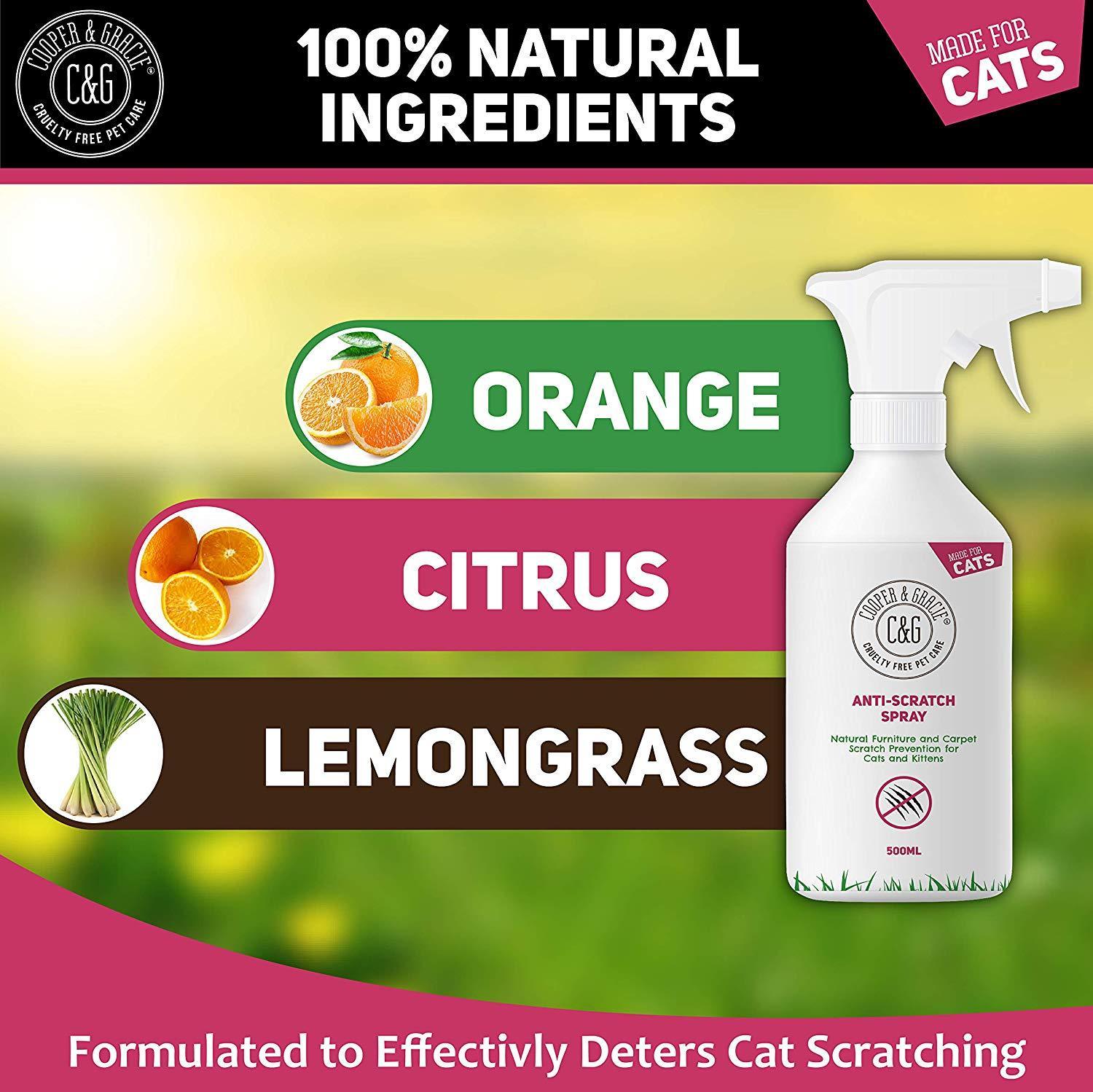 Citrus spray cheap for cats