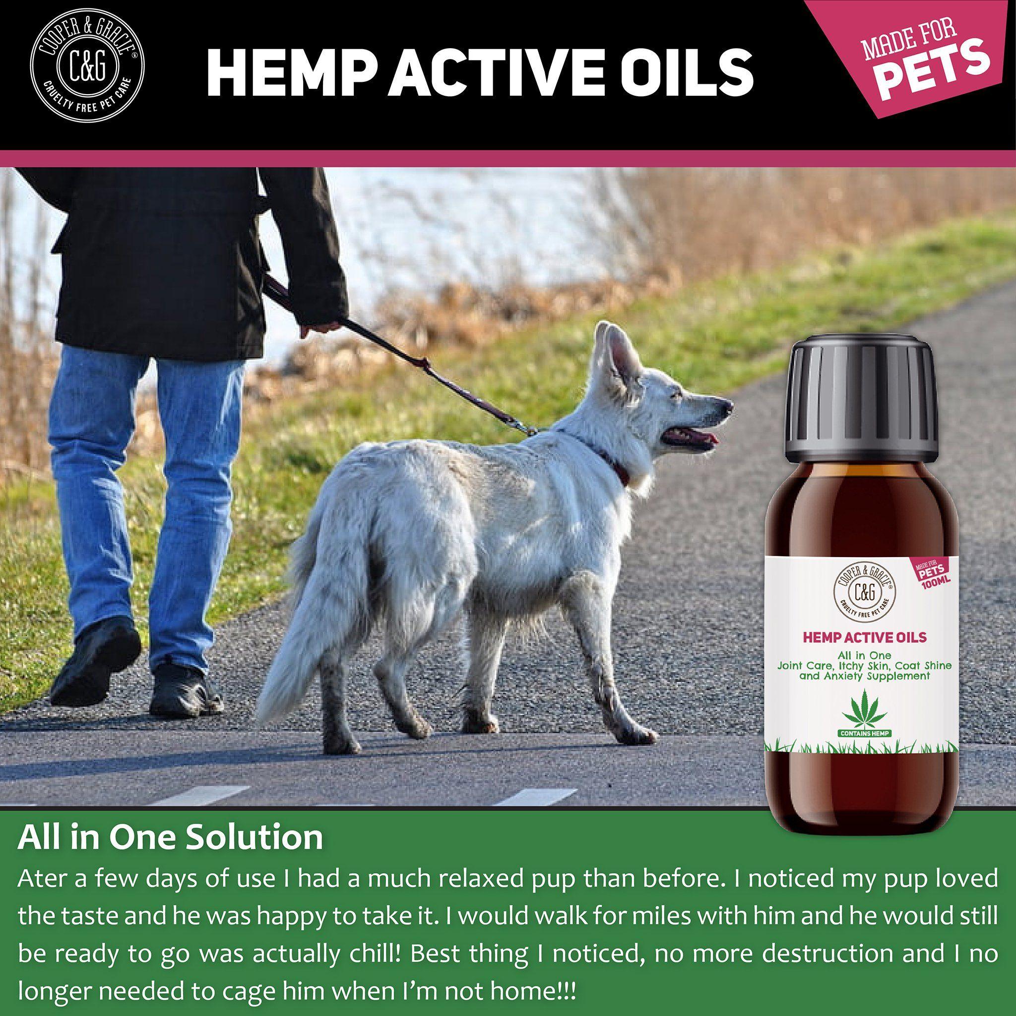 Best oil supplement for cheap dogs