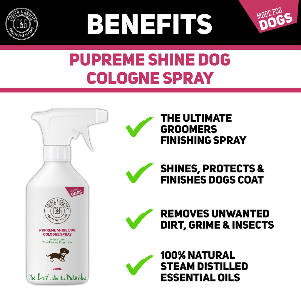 Pets Empire Dog Perfume (Angel Pet) - (135 ML) - Dogomart