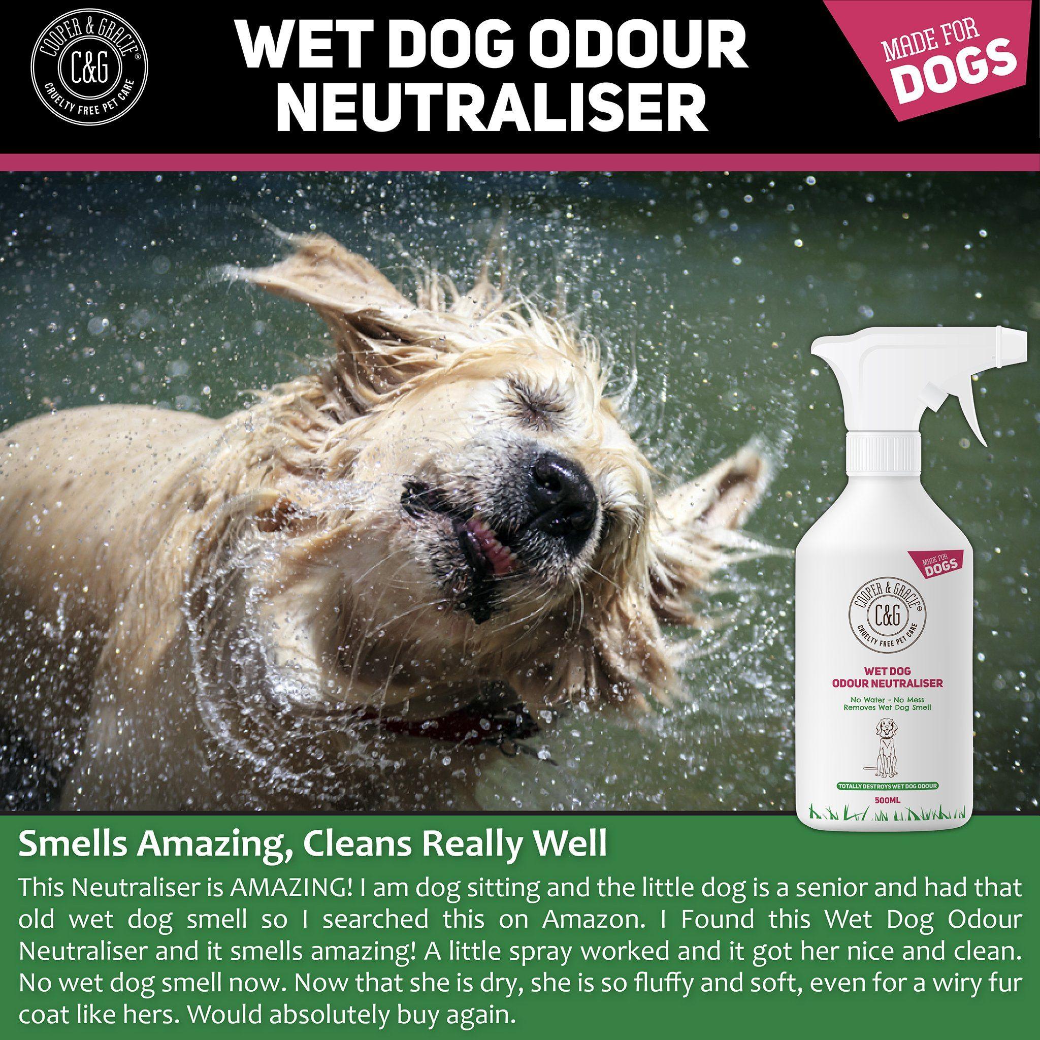 Wet dog sale spray