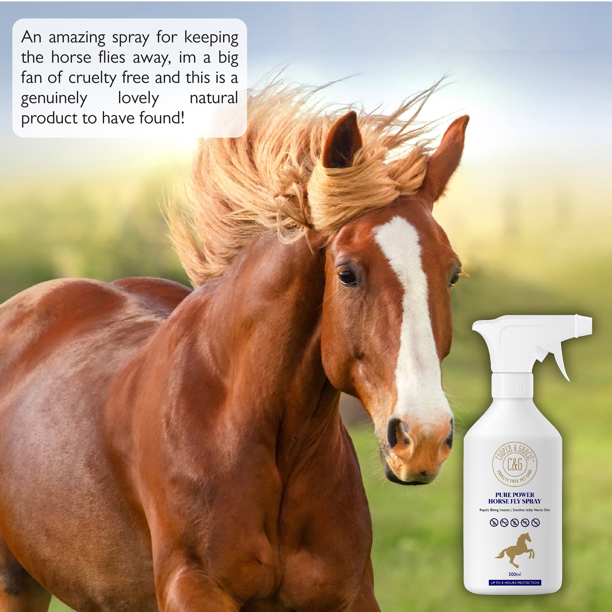 Horse fly best sale spray for dogs