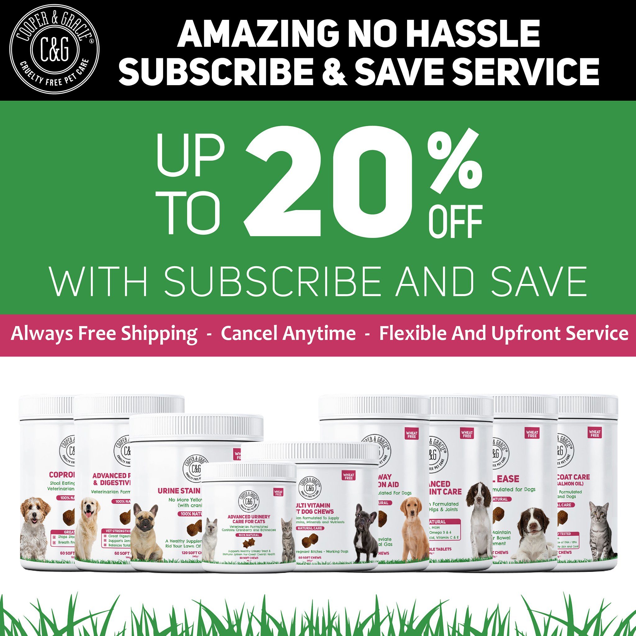 Calming Supplements for Dogs with Chamomile 60 Soft Chews (4597967913015)